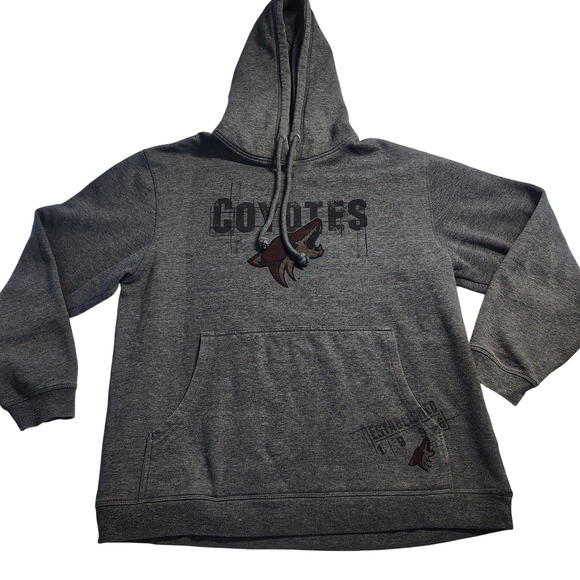 Other - Arizona Coyotes NHL Hockey Pullover Hoodie Gray Established 1996 Men's XL‎